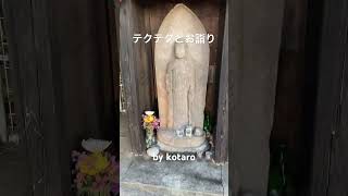 to offer a prayer in front of tte buda.by kotaro.December21,2023. 小太郎 いぬのきもち dog pomeranian お散歩