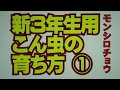 新３年生・こん虫の育ち方①