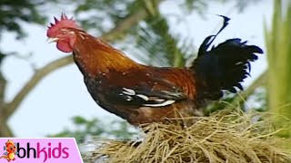 GÀ TRỐNG GÁY Ò Ó O - Nhạc Thiếu Nhi Vui Nhộn Hay Nhất