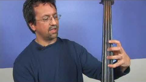 Upright Bass D Major Scale