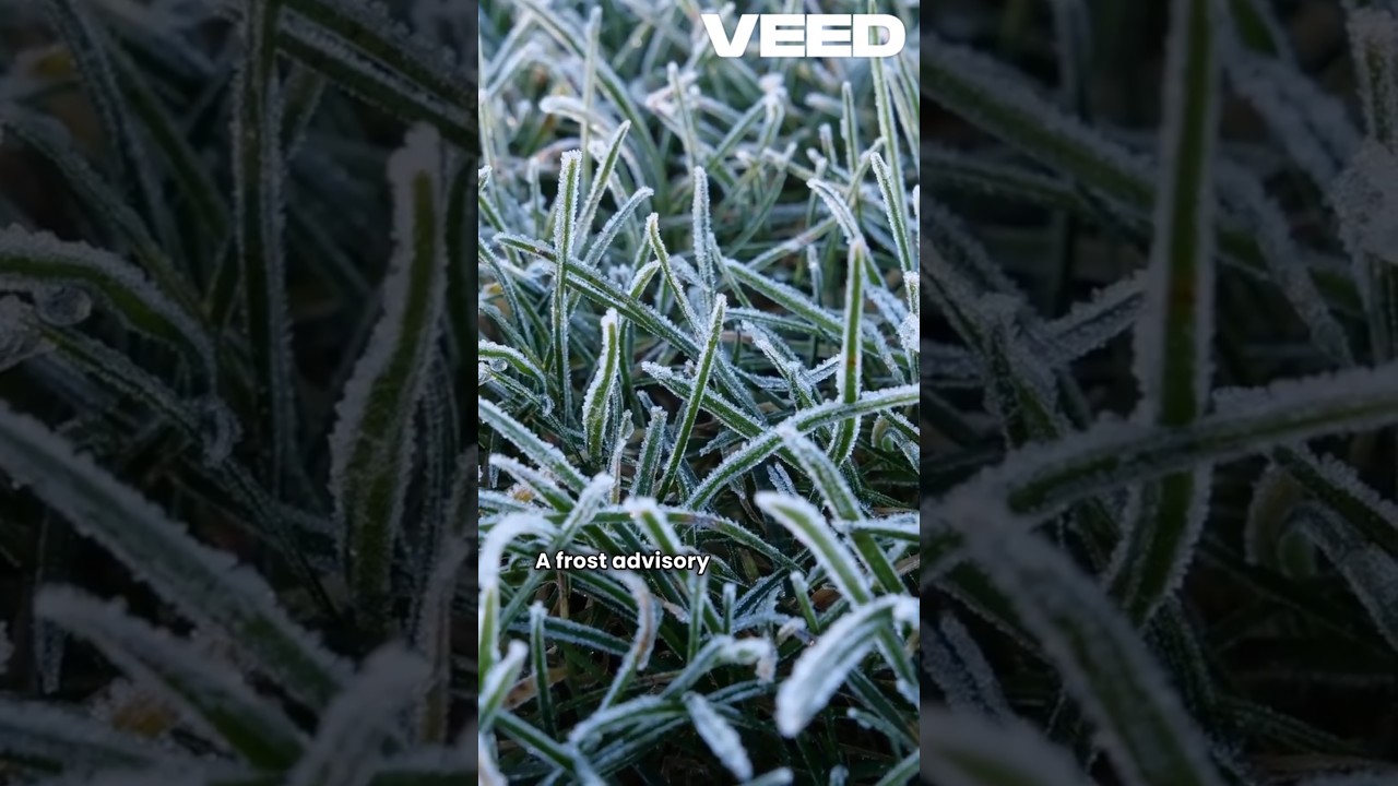 URGENT Weather Alert ⚠️ Frost Advisory & Freeze Warning Issued for Friday Morning