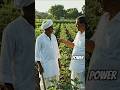 #modernagriculturetechnology #waterirrigation #mangofarming  #reproduction#rice #fruit #medicinal