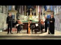 もし私の顔が青いならGuillaume Dufay