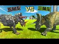 五角龙VS三角龙，动物战斗模拟器。