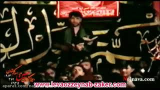       سیدجواد ذاکر یا ابوفاضل