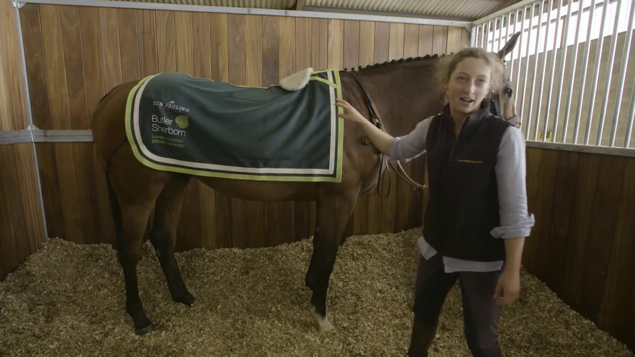 How To Prepare A Racehorse To Race Part 2 HorseHowTo YouTube