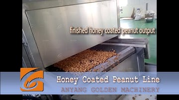honey coated peanut line2