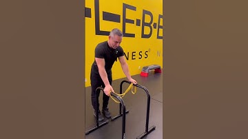 Four exercises perfect for any fitness level! | Lebert EQualizers