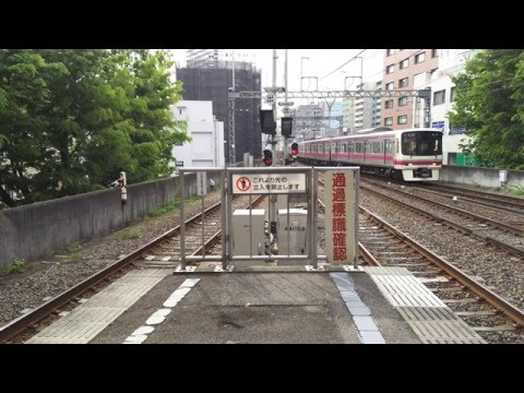 Perfume 『 FLASH 』 カバーby 稚菜 （わかな） - ちはやふる -