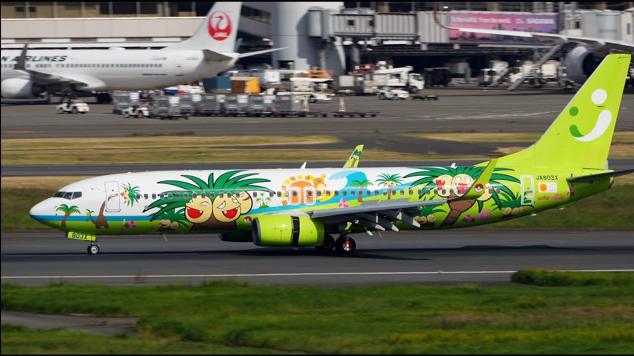 う*な様 Solaseed Air B737-800 Nassi Jet Solaseed Air Nassi Jet Miyazaki Livery Boeing 737-800 JA803X