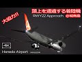 【4K】大迫力！！低空で頭上を通過する着陸機 夜の羽田空港＠城南島 B滑走路着陸 RWY22 LDA W Approach Haneda Airport Night Landing