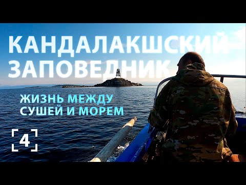 Литораль Белого моря. Островные и материковые территории Кандалакшского заповедника