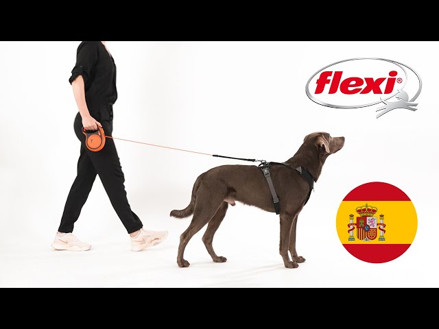 Correa Flexi® Comfort® - Correa Retráctil Para Perros Grandes hasta 60 — La  Tienda de Frida & Chelsee