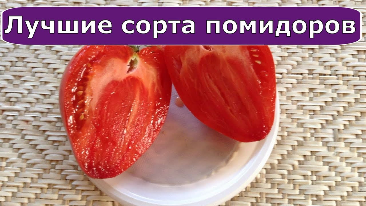 345. Помидоры. Проверенные сорта и новинки.