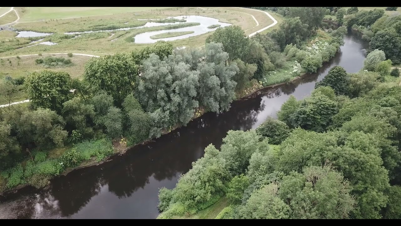 Kersal Wetlands and Kersal Dale