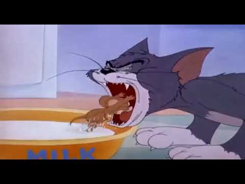 Tom And Jerry - YouTube