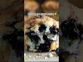The BEST 🫐blueberry muffins🫐! #muffins #recipe #shorts
