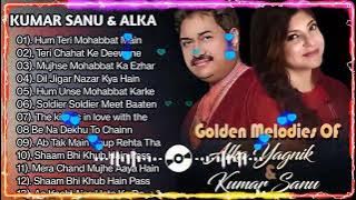 Evergreen Love Songs Of Kumar Sanu & Alka Yagnik hit, Best of kumar sanu,Golden Hit,90s hit playl