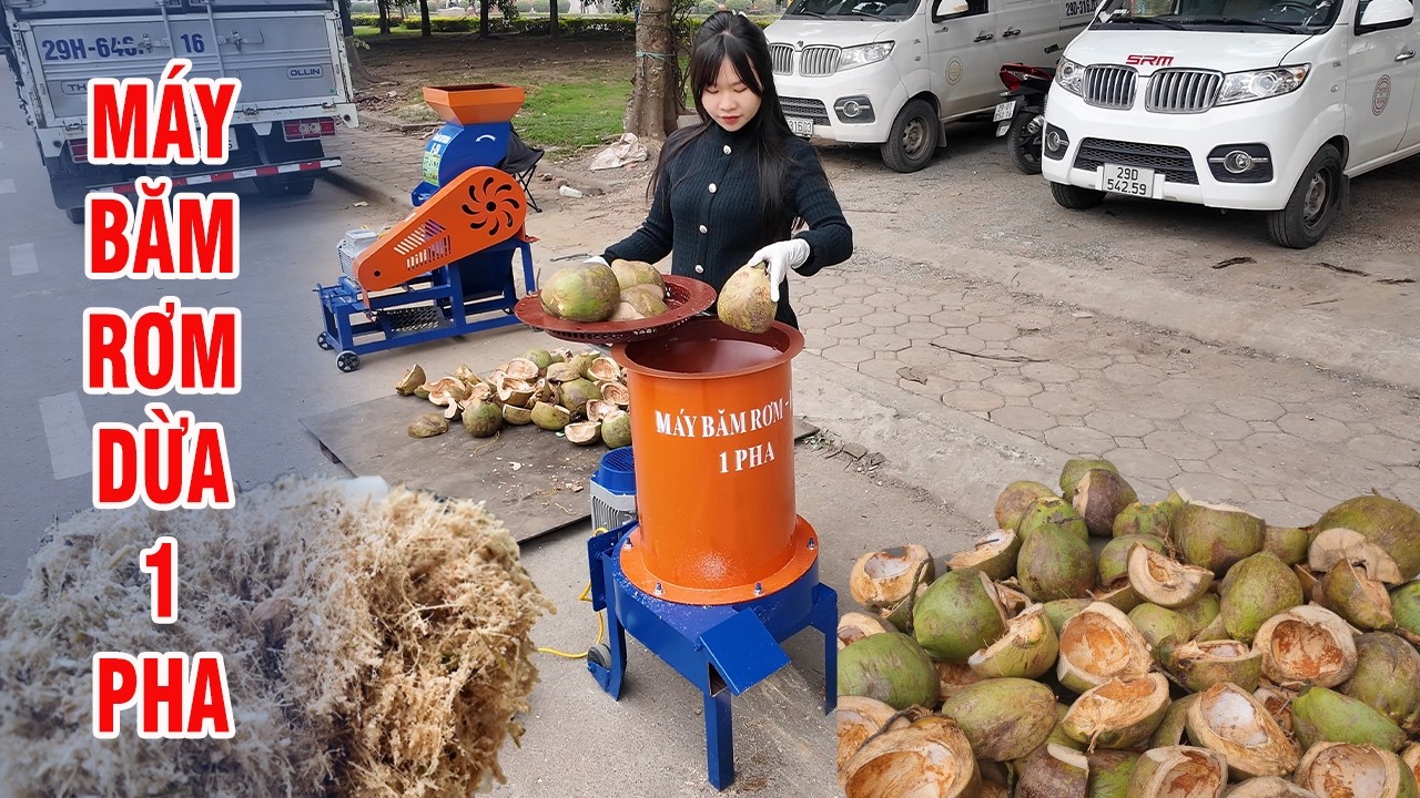 Chỉ Với Vài Triệu Đồng Là Đã Sở Hữu Ngay Máy Băm Rơm - Dừa 1 Pha Năng Suất 200kg 1 Giờ