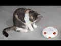 Inkzoo whack a mole feather automatic cat toy aliexpress perkeo interactive smart random