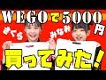 【WEGO】さくらちゃんと1人5000円分買ってみた！今回は小物が多い！？【購入品紹介】