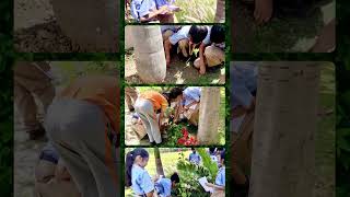 Nature Walk With Grade Vi Science In Action