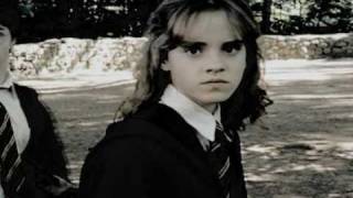 Shattered [Hermione Granger]