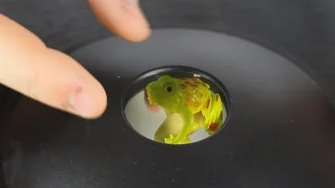 Amazing 3-D Mirascope