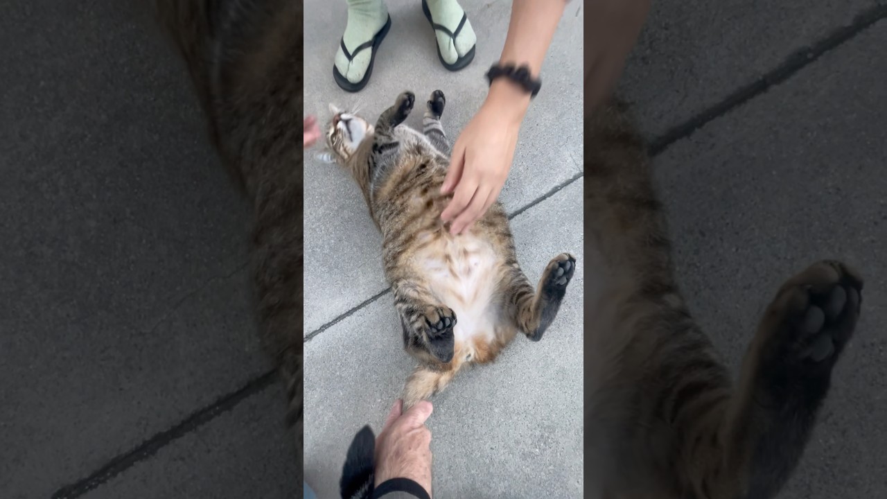 Keep Your Eye On The Prize 🌞 #dreamscometrue #avatar #buddhabear