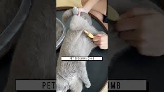 Pet Grooming Comb, Link Is On Bio Or Copywww.niopets.com