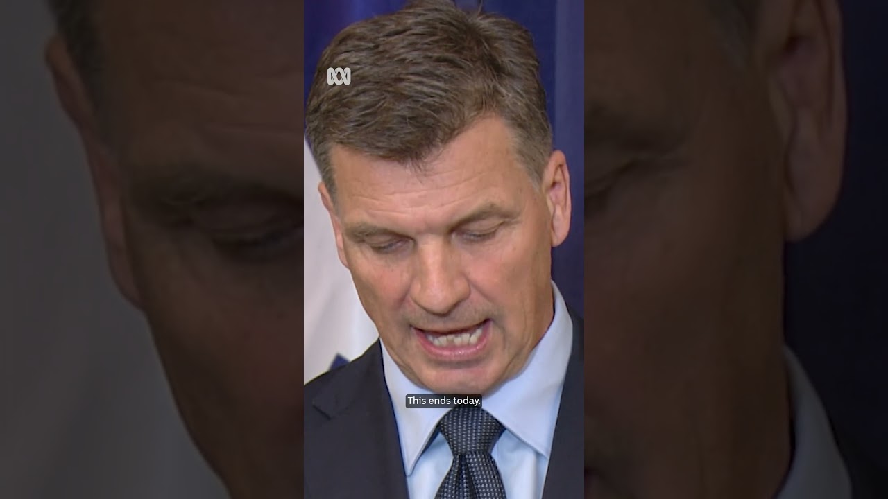 Liberal party must 'change or die' says new leader Angus Taylor | ABC NEWS