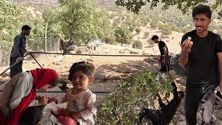 Download Lagu From Ruin to Dream Home: Iranian Family's Journey to Build Their Perfect Space\ MP3 Download Lagu From Ruin to Dream Home: Iranian Family's Journey to Build Their Perfect Space\ MP3