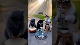 Spooky Cat Dancing to Arabian Beats 🐱👻🥁