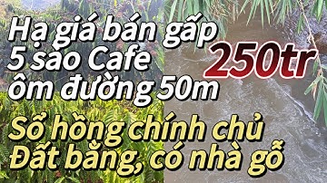 (250-daban) Bán gấp mảnh rẫy Cafe đẹp, giá sinh viên, đất bằng phẳng ôm suối