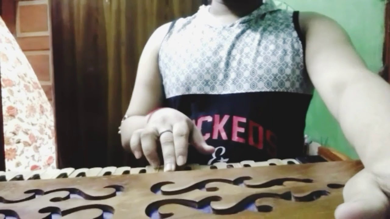 DAIRY MILK THEME SONG(astronomia)HARMONIUM COVER YouTube