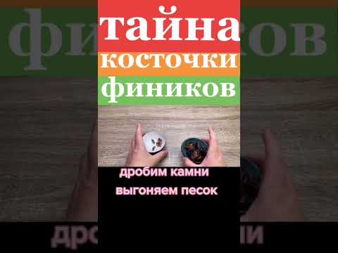 Тайна косточки финика | Что творят ФИНИКИ | польза и вред фиников #здоровье #финики