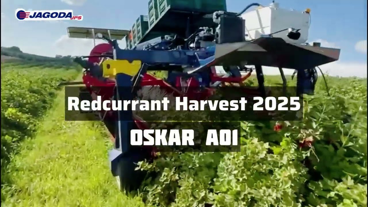 Trailed berry harvester OSKAR A01 | JAGODA JPS