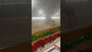 kingston :( | #horse #equestrian #trending #viral #pony #blowup #fyp #horseedit