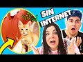 MI GATO SE COME INTERNET 😼🔌 Cómo educar a un gatito bebé pequeño 😻JUEGOS VIRALES PARA MASCOTAS