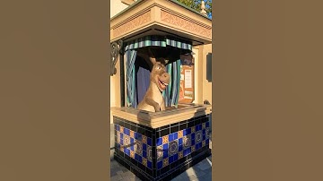 Donkey sounds like a girl to little one 🤣 #universalstudios #donkey #shrek #losangeles #shorts #fun