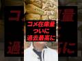 コメ在庫量、ついに過去最高に