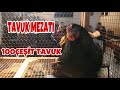 Tavuk Pazarı Tavuk Mezatı /1.BÖLÜM/Tavuk Ördek Hindi Tavşan Bıldırcın NE ARARSAN VAR !!