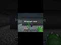 Minecraft core