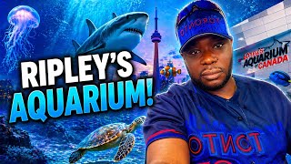 Ripley’s Aquarium Toronto Experience 🐠 (Sharks, Tunnels & More!)