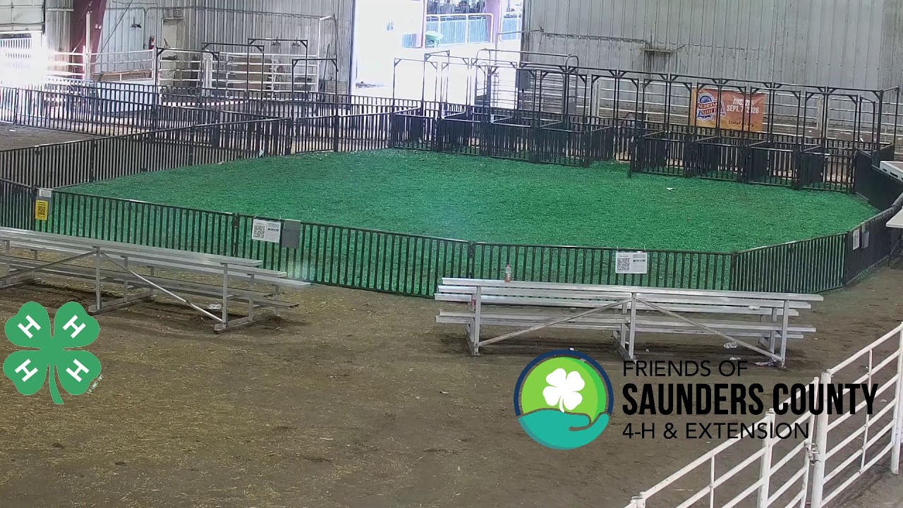 Saunders County Fair 4-H Beef Show 7-31-26