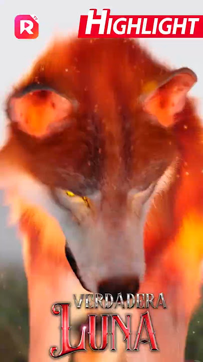 True Luna: We've never seen a red wolf before!  | ReelShort