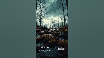وَضَاقَتْ عَلَيْكُمُ الْأَرْضُ بِمَا رَحُبَتْ ثُمَّ وَلَّيْتُمْ مُدْبِرِينَ | المنشاوي | سورة التوبة