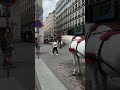   اكسبلور البخل  تيك توك الجيلي دويتو المراه  تصويري المراره