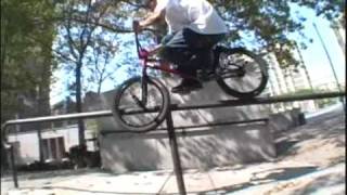 Animal Bmx 2008