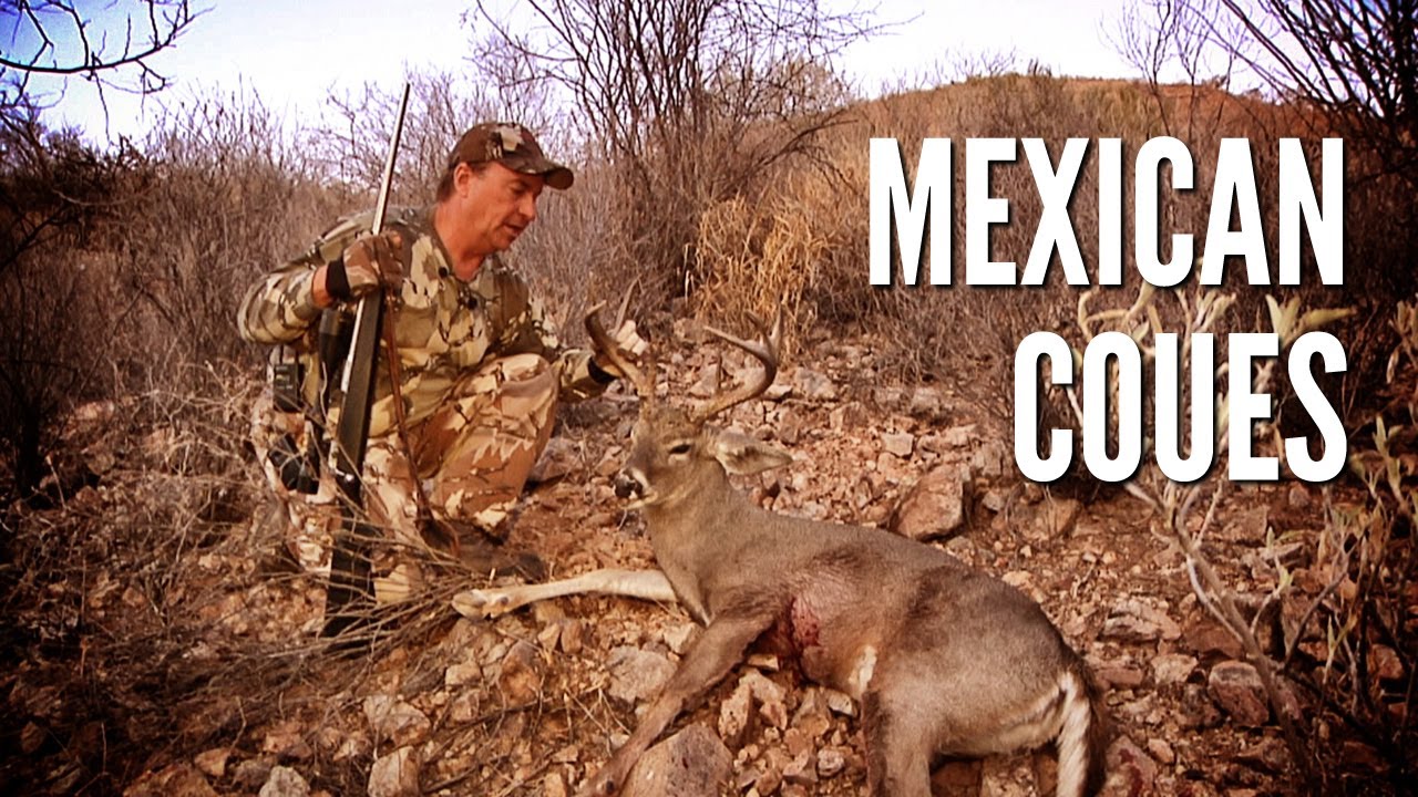 Mexican Coues Deer Hunt YouTube